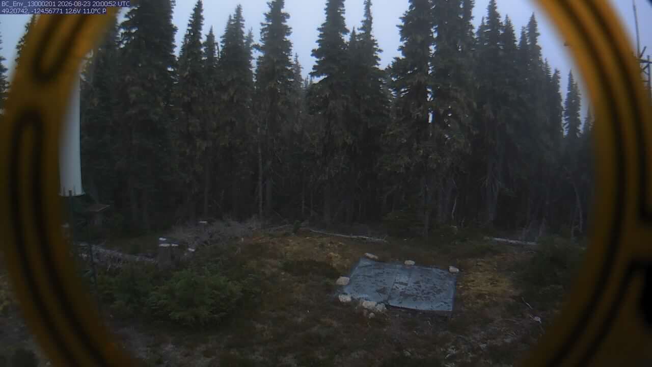 Area C: Mount Arrowsmith