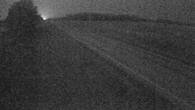 Gibbons: Hwy 643 West of Hwy 825