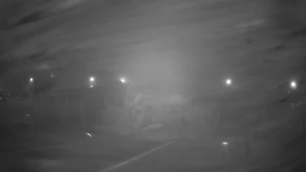 Webcam Saint-Léon-sur-Vézère: Camping Le Paradis