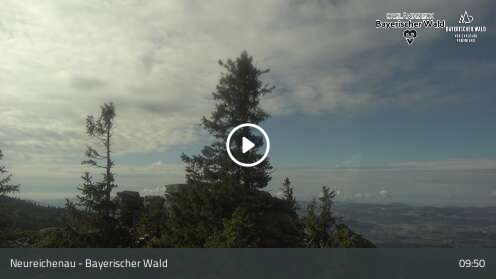 Webcam Neureichenau: Dreisesselschutzhaus