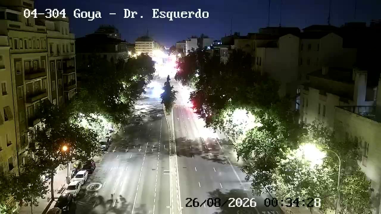 Goya: DOCTOR ESQUERDO