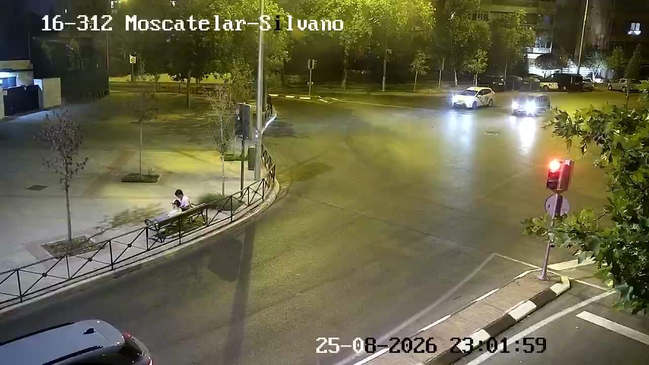 Canillas: MOSCATELAR - SILVANO