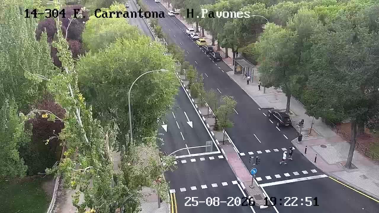 Pavones: FUENTE CARRANTONA