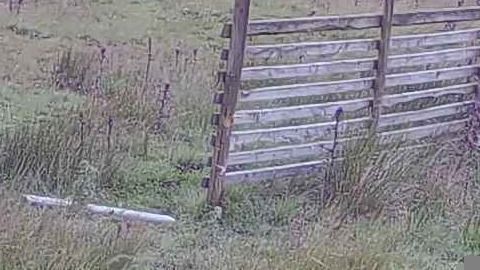 Newbiggin › South-West: Weardale Ski Club - England's Longest Ski Slope
