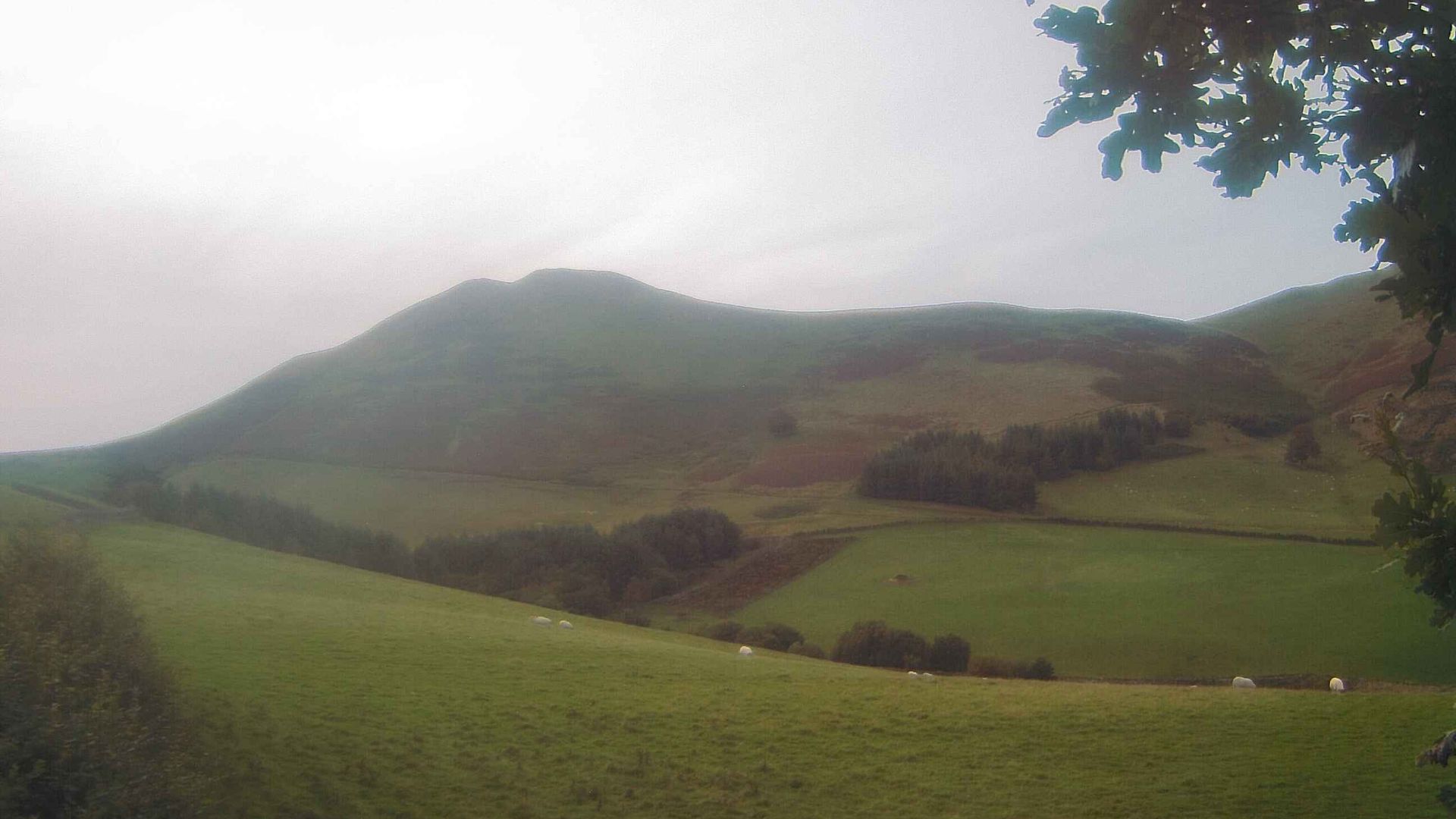 Silverburn › North-West: West Kip