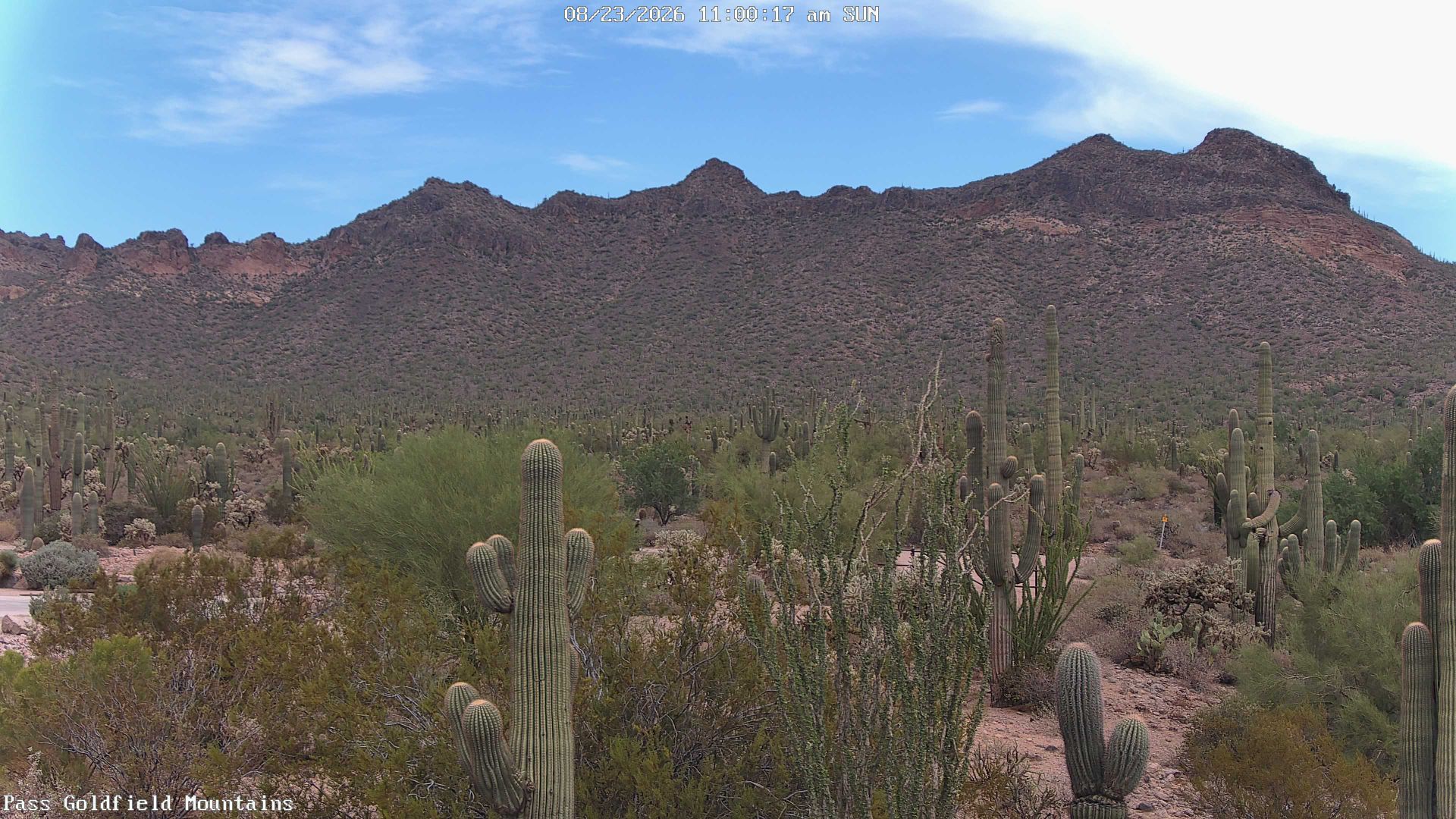 Apache Junction › East