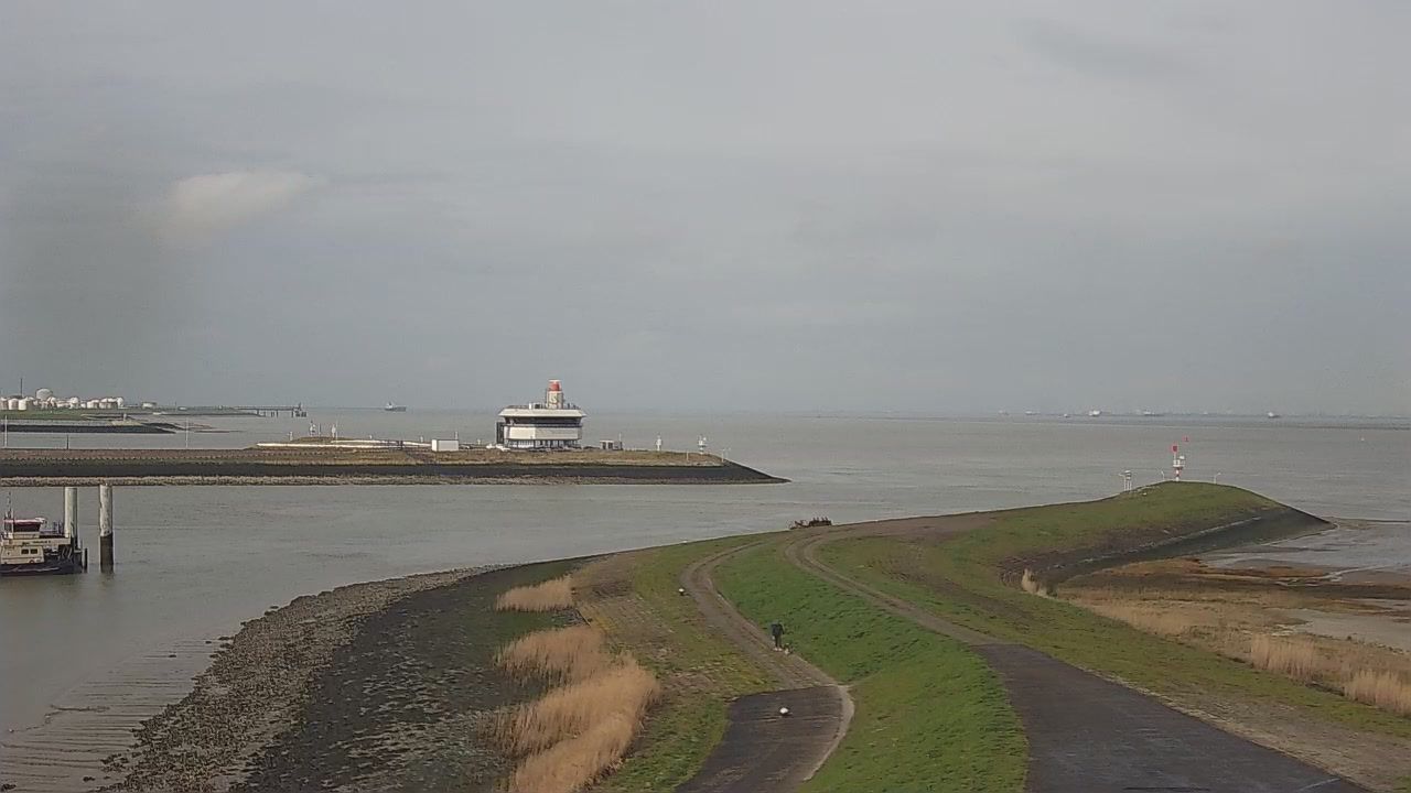 Terneuzen: West