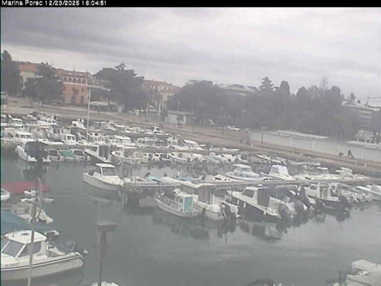 Miholjacki Porec: Porec - Marina