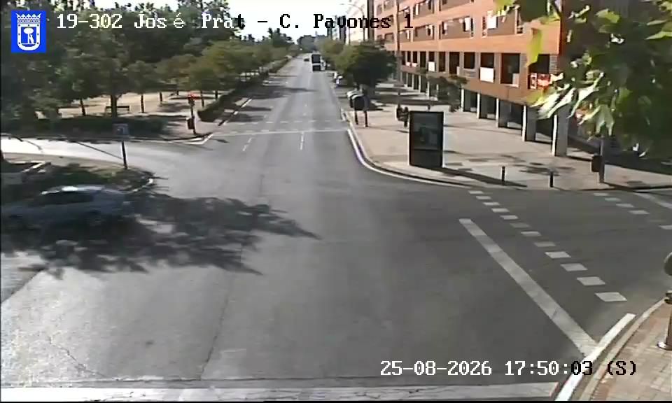 Valdebernardo: JOSE PRAT - CORDEL PAVONES