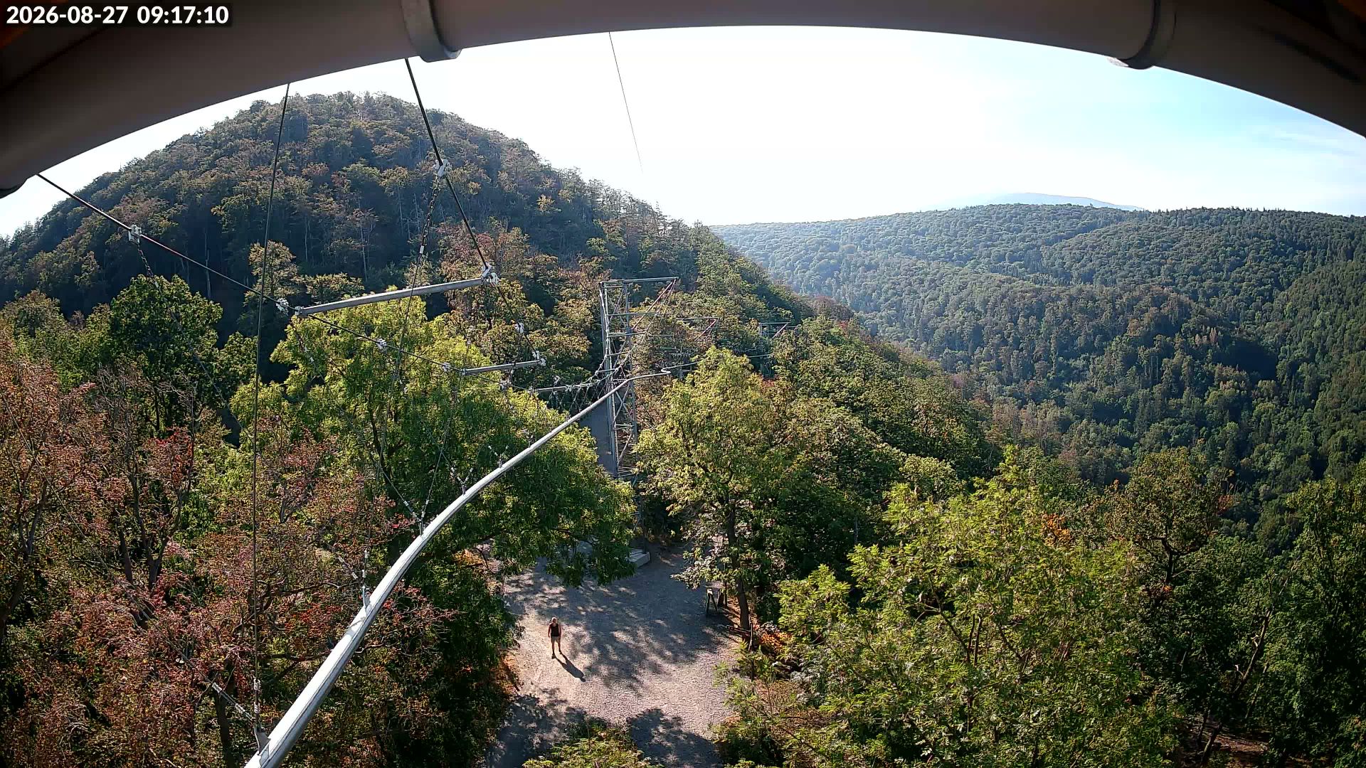Bad Harzburg: Livespotting - Live im Harz von der BaumSchwebeBahn in