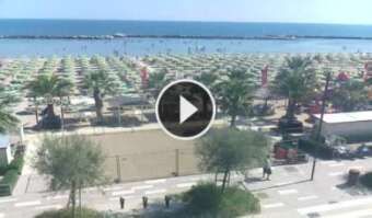 Rimini › North-East