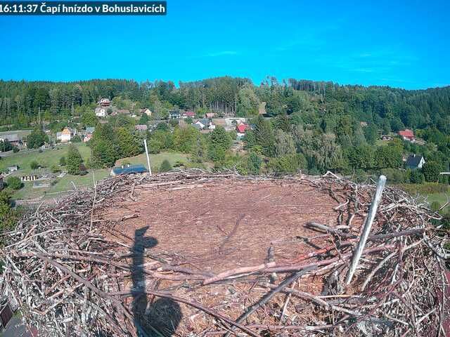 Trutnov › East: Bohuslavice nad Úpou - Královéhradecký, Česko: Čapí hnízdo