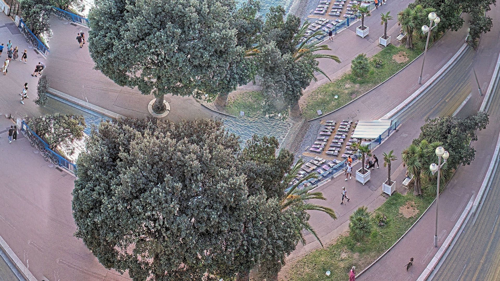 Nice › West: Promenade des Anglais