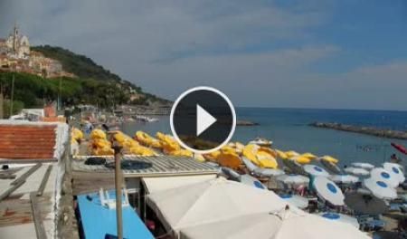 Cervo
