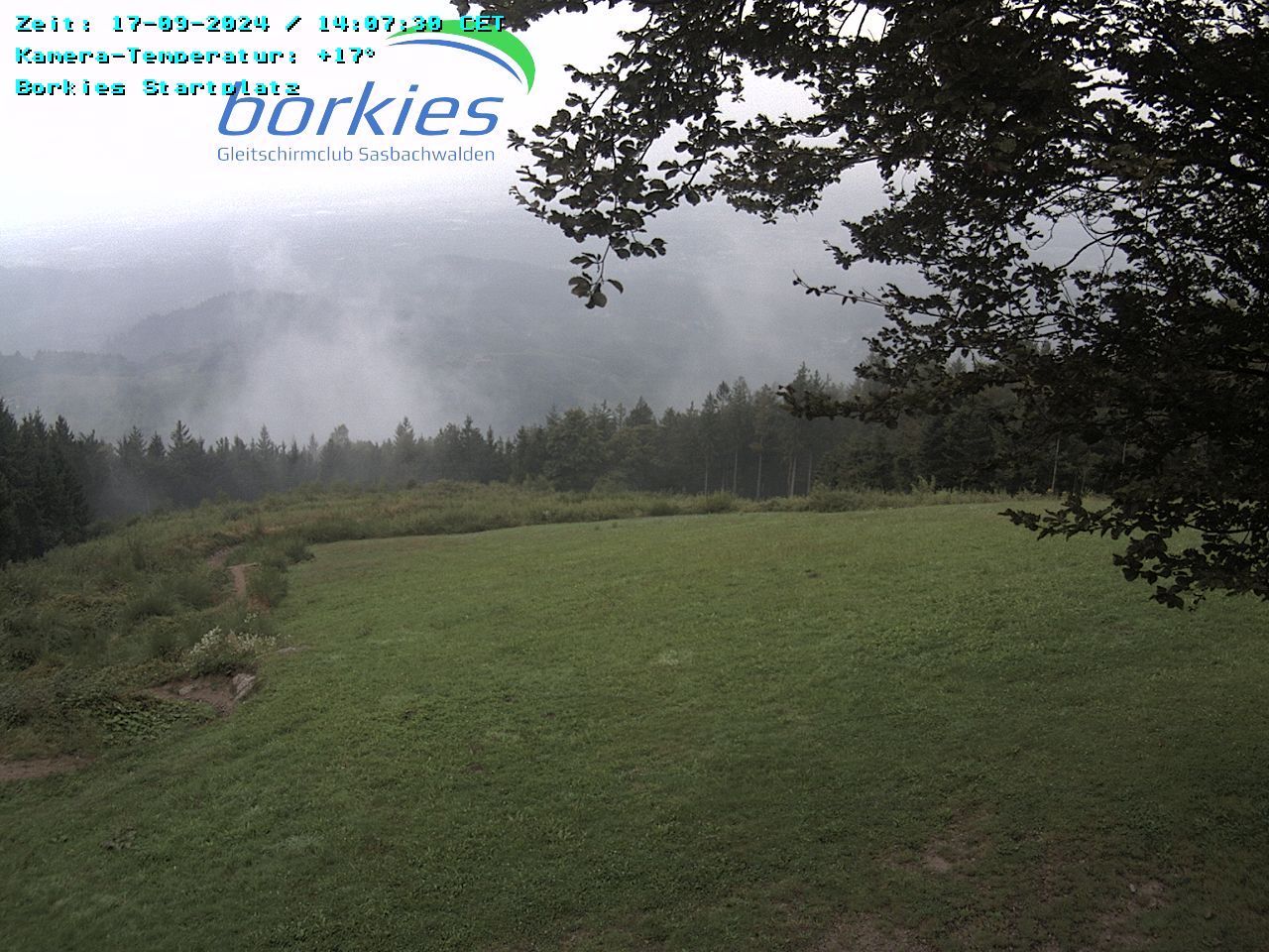 Sasbachwalden › West: Borkies-Schutzhütte / Startplatz