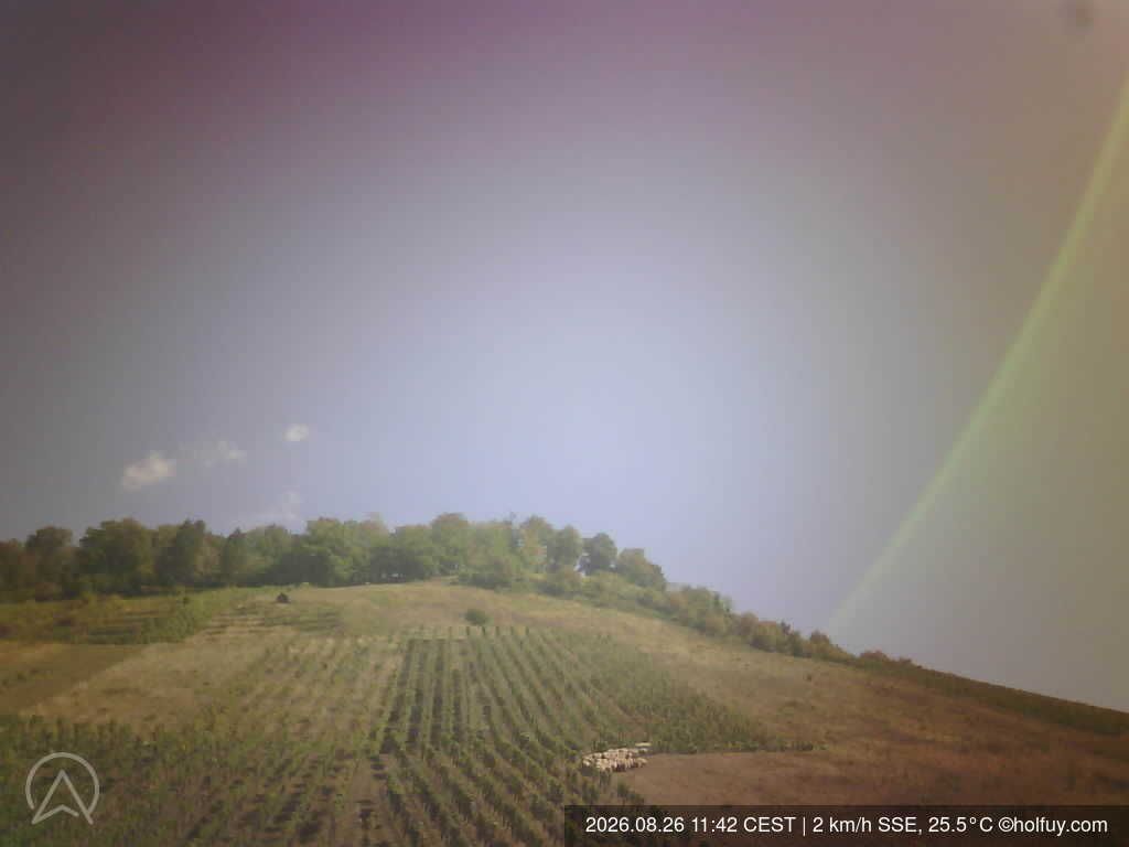 Korb › North