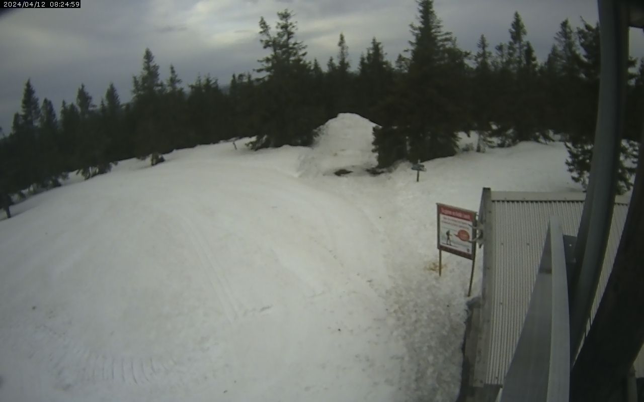 Sandsnesseter › North-East: Marifjell - Akershus
