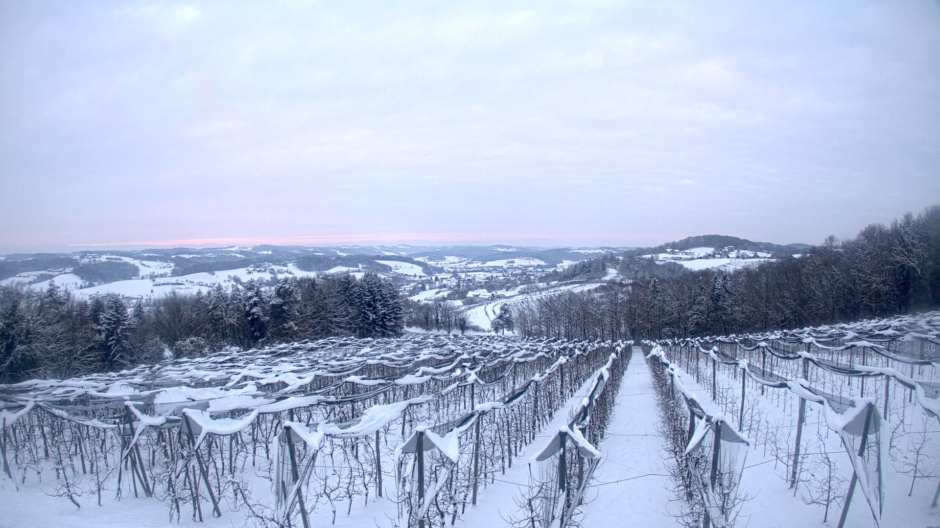Gleichenberg Dorf: Obstbau Haas - Blick auf Gnas