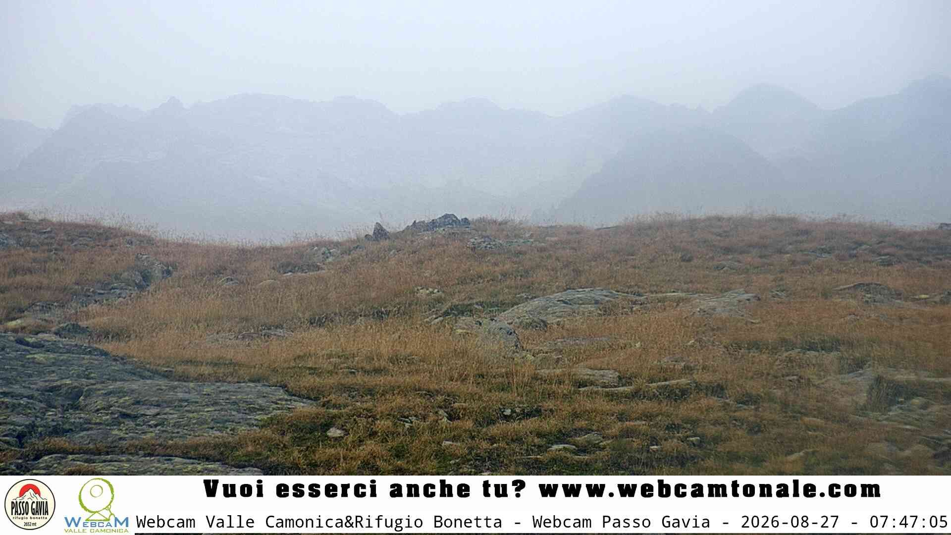 Ponte di Legno: Passo Gavia