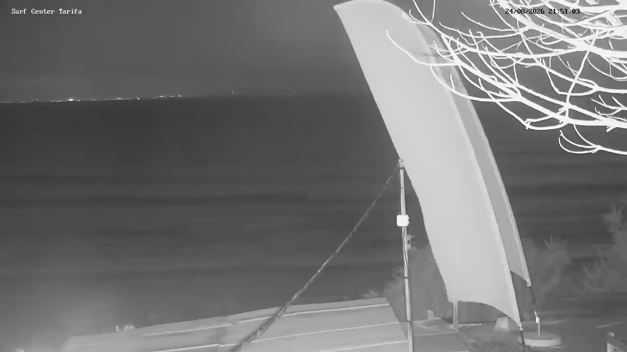 Tarifa: Arte-Vida