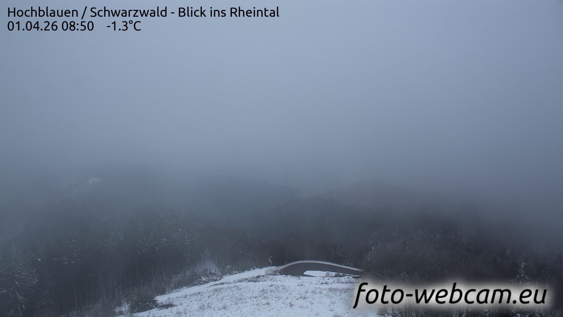 Schliengen: Hochblauen - Schwarzwald - Blick ins Rheintal