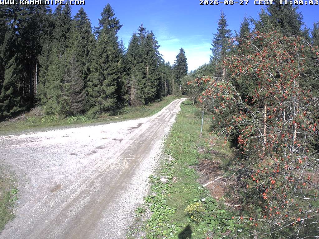 Carlsfeld › North-West: Flössweg