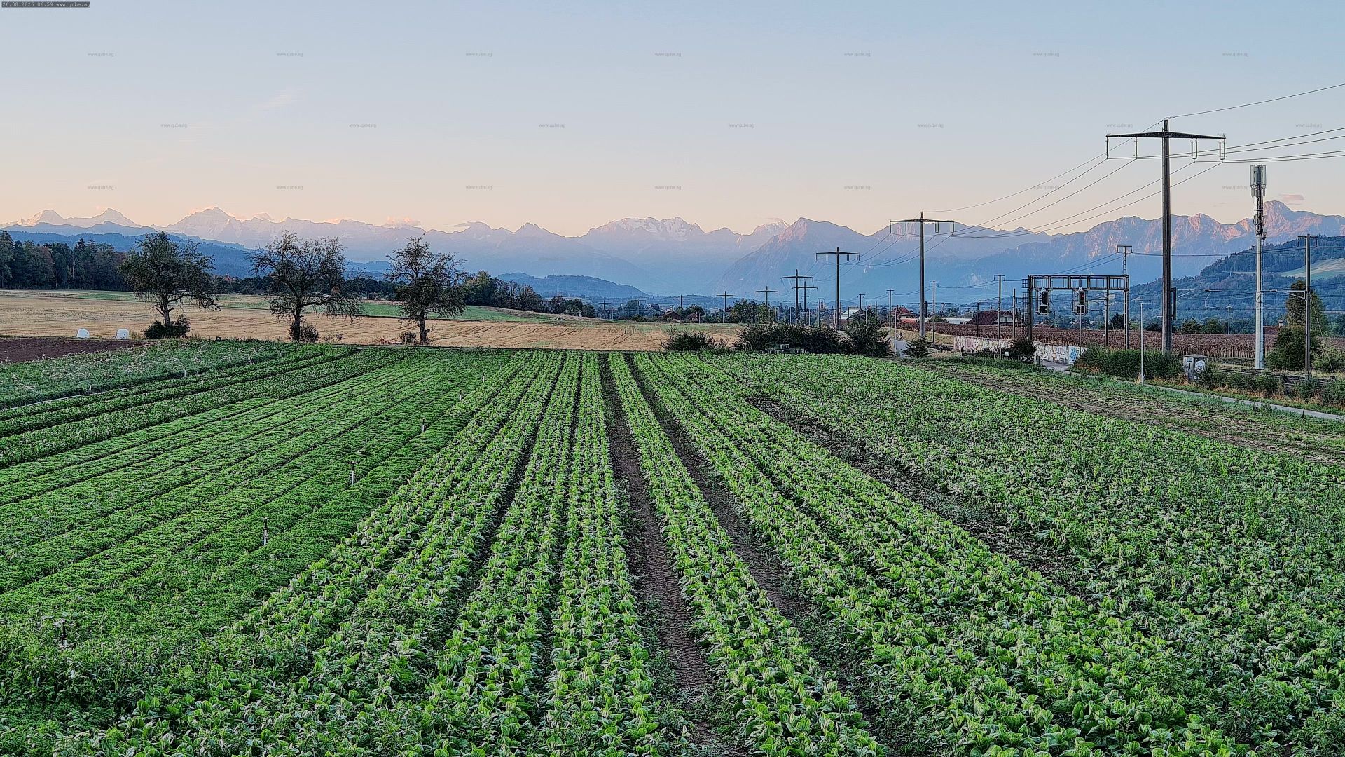 Rubigen: Sicht in Richtung Berner Oberland