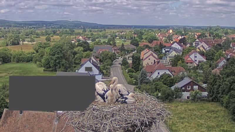Muhr am See › West