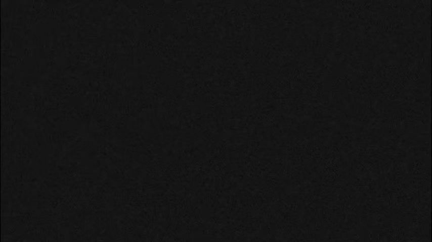 Noordoostpolder › South