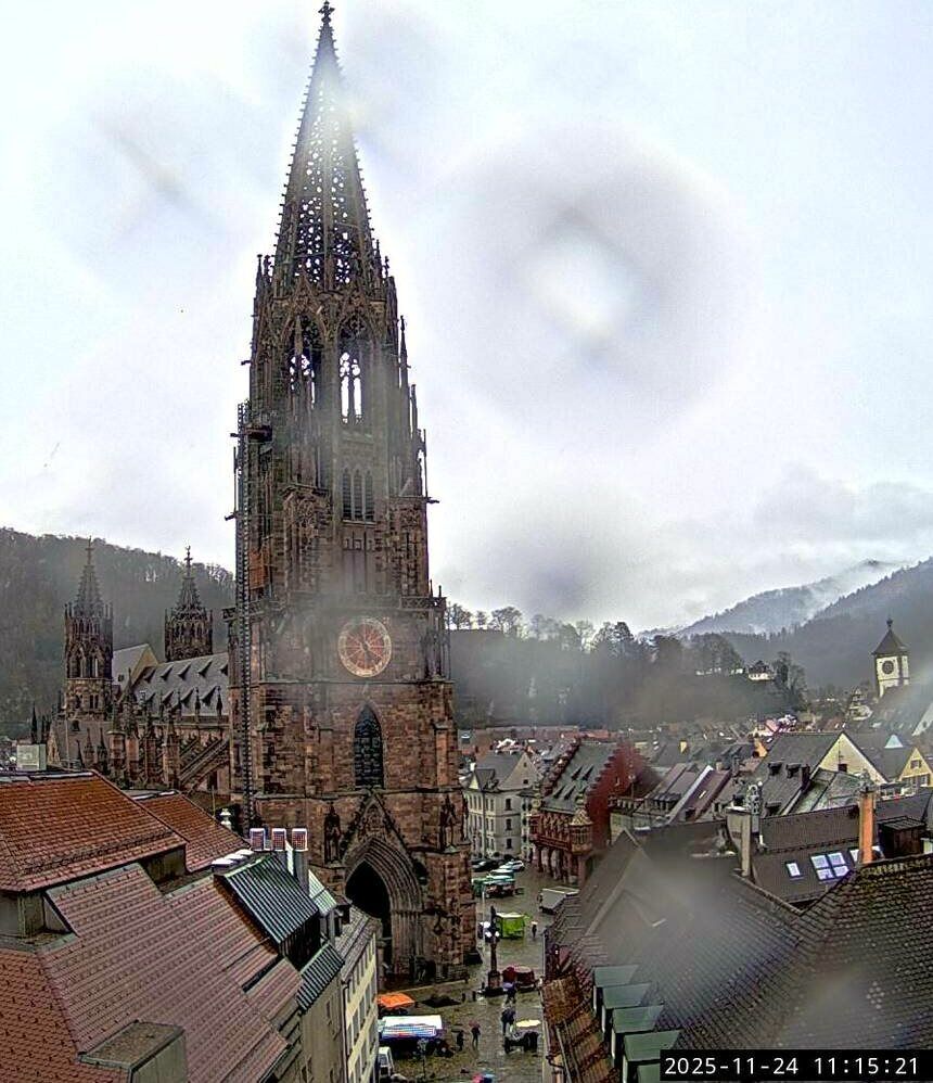 Freiburg im Breisgau: Freiburger Münster