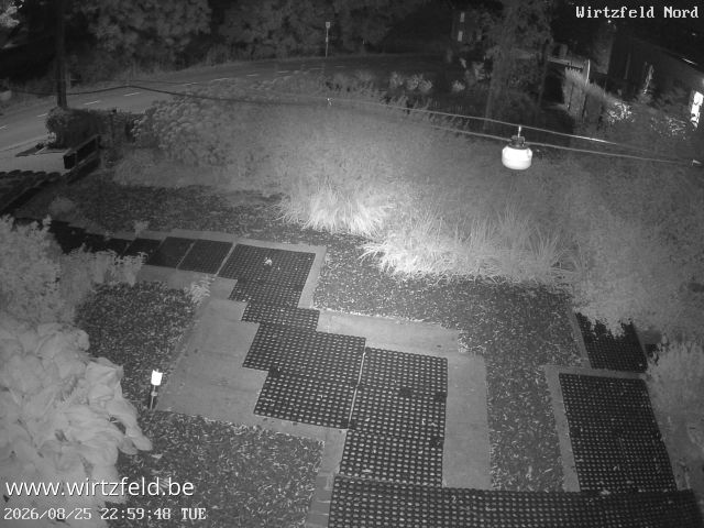 Bullingen › North