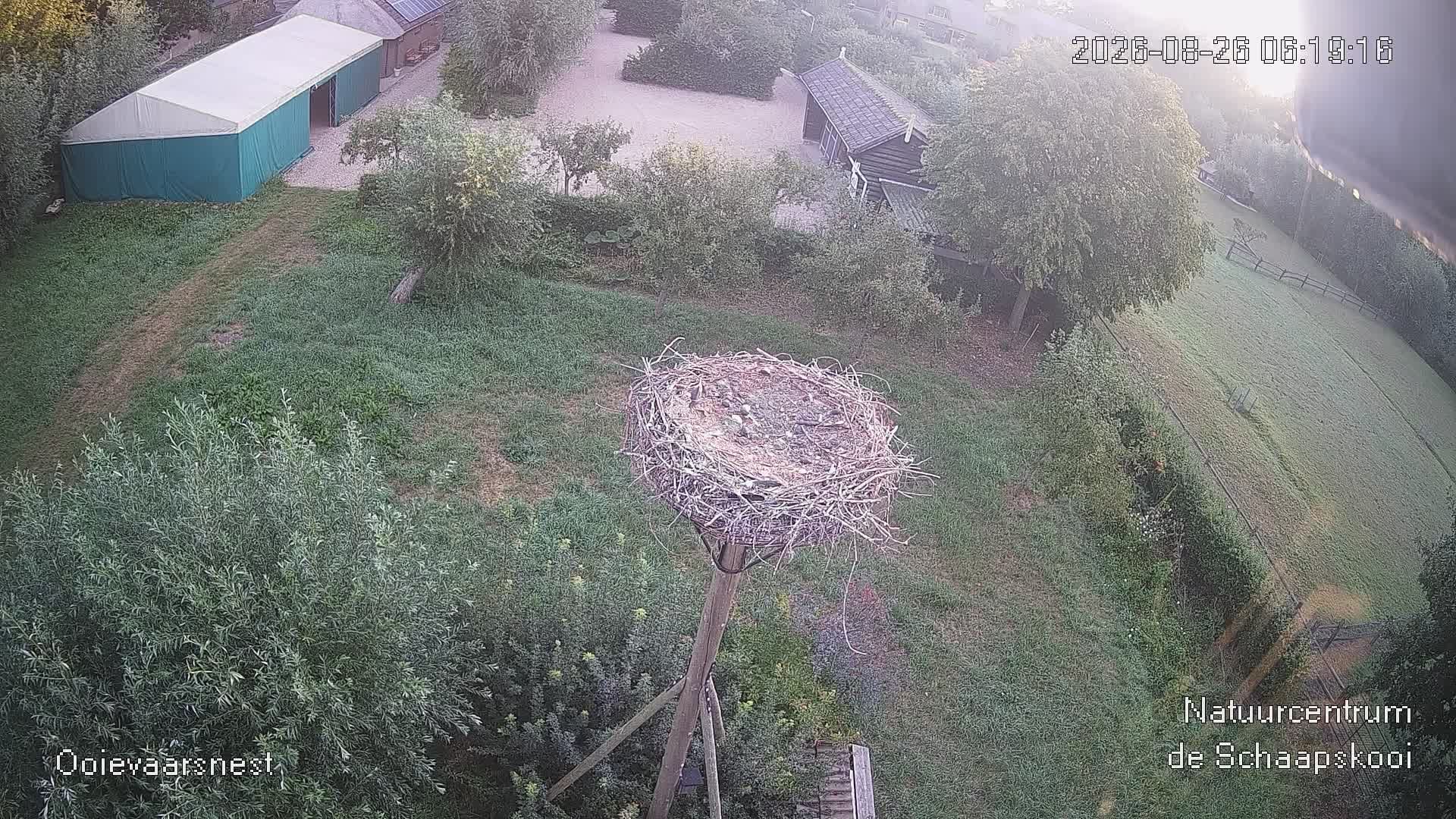 Vijfheerenlanden: Vogelwacht