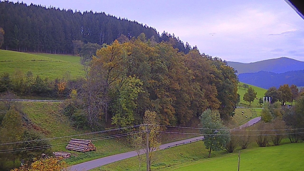 Biederbach › South-East: Landgasthof & Hotel Adler-Pelzmühle