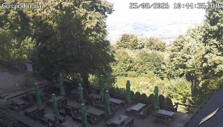 Jugorje: Brusnice