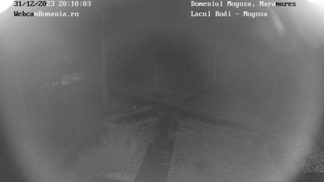 Baia Sprie: Lacul Bodi
