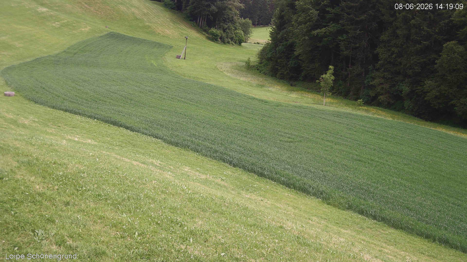 Schwellbrunn