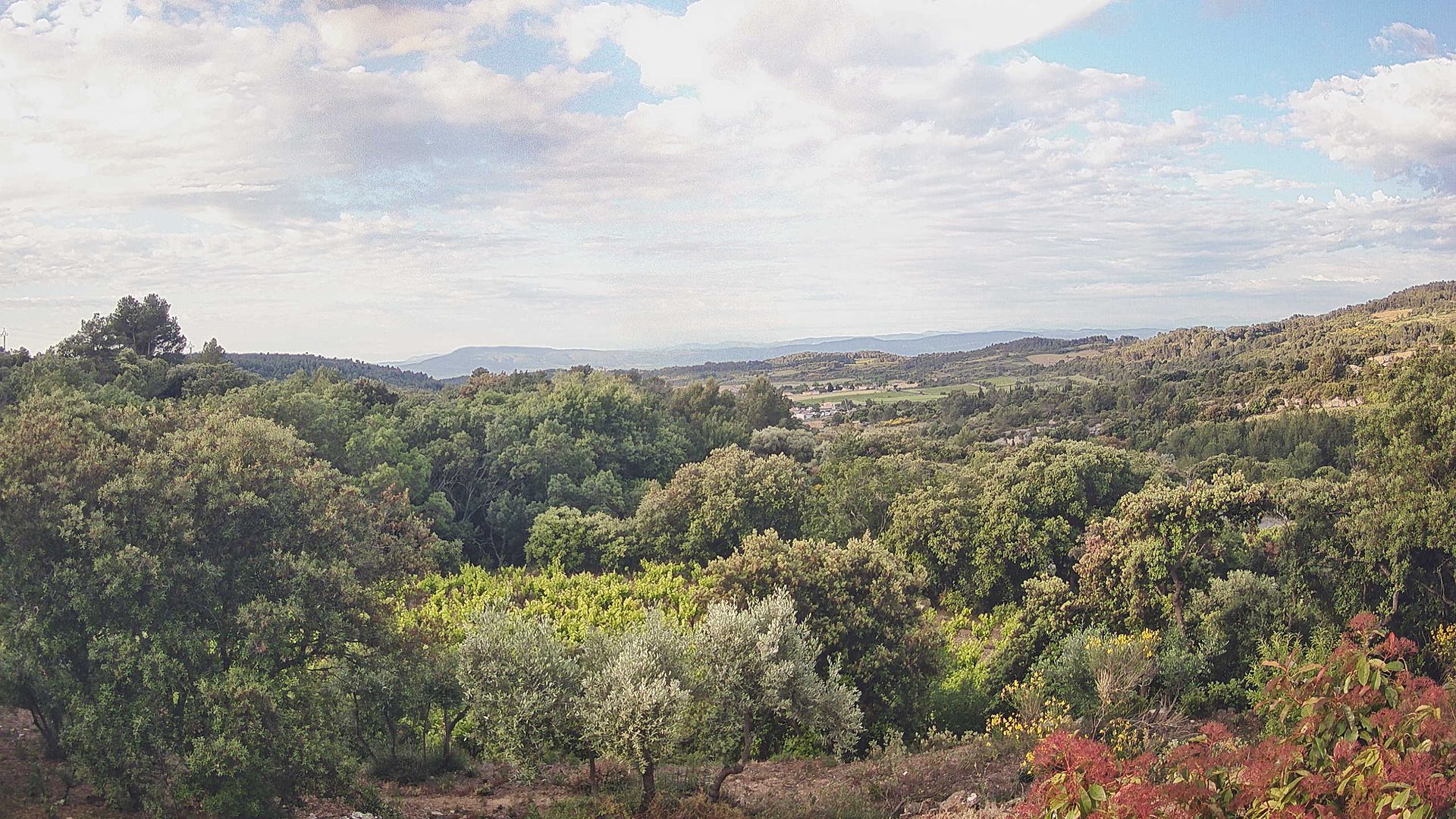 Felines-Minervois › South