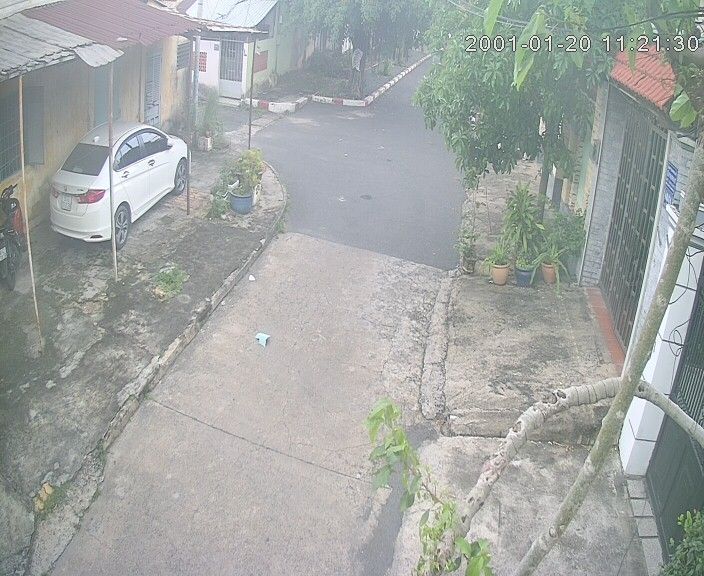 Ward 11