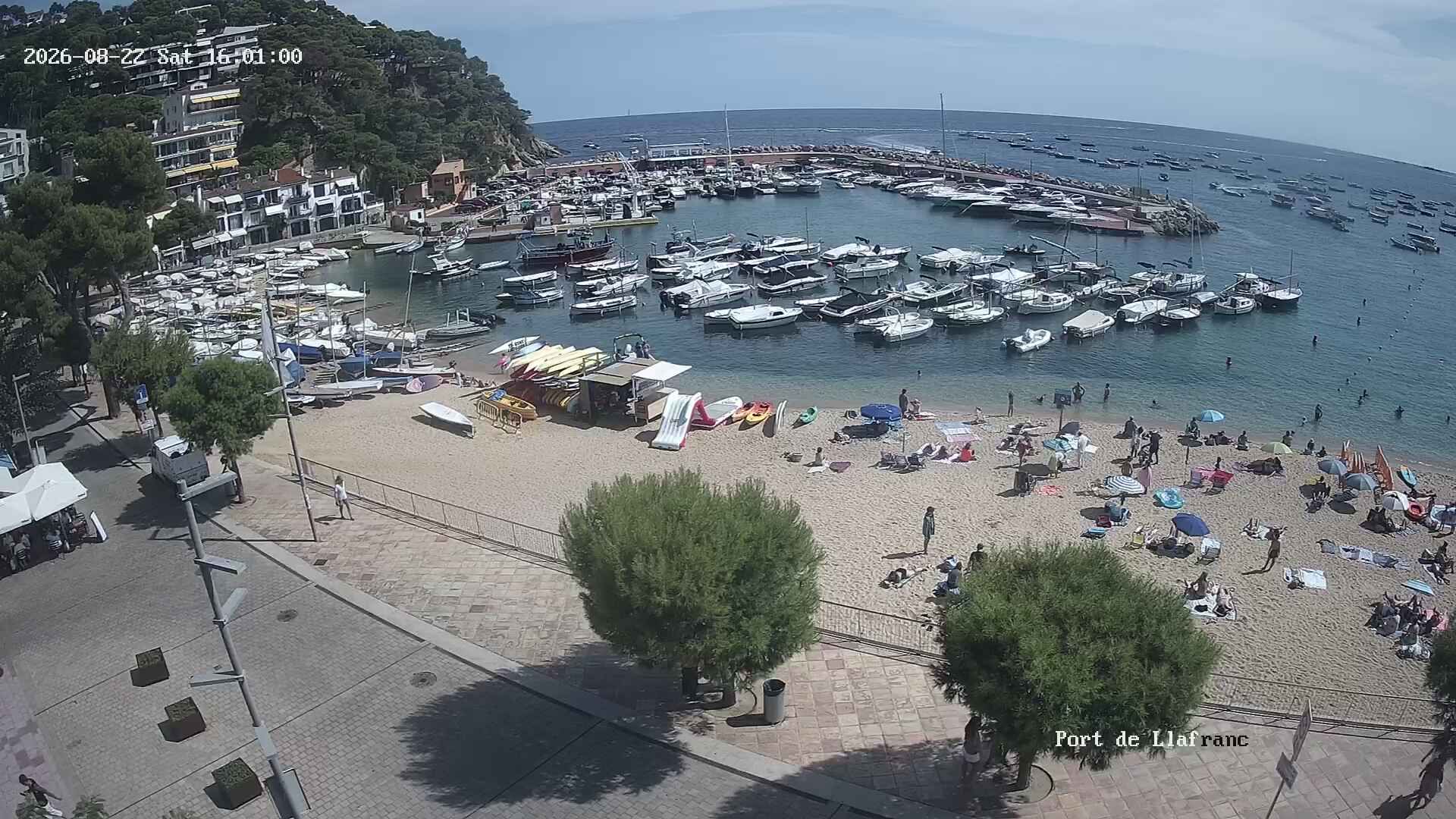 Sant Antoni: Port De Llafranc
