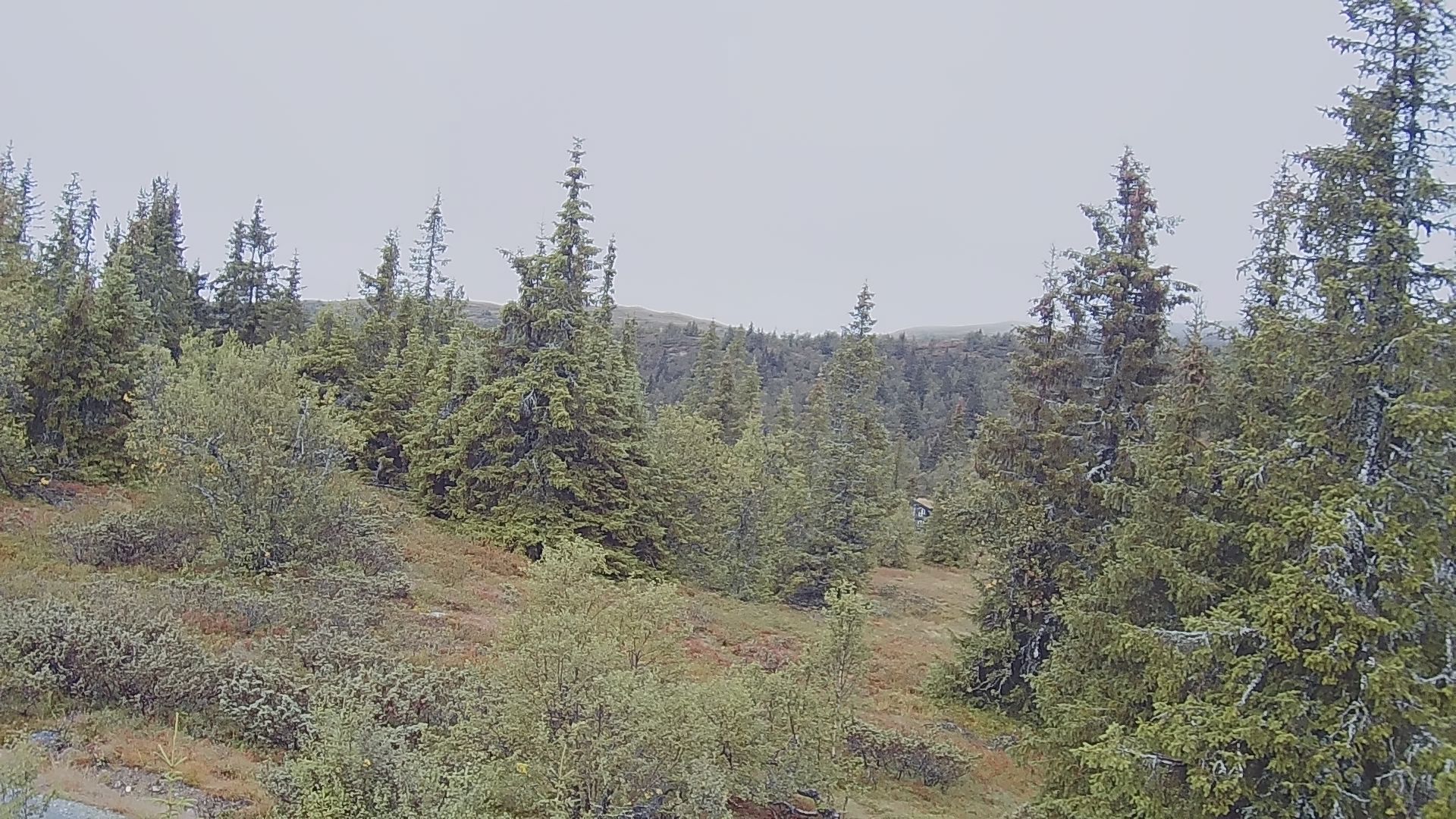 Gamlestolen › North-West: Gamlestølen