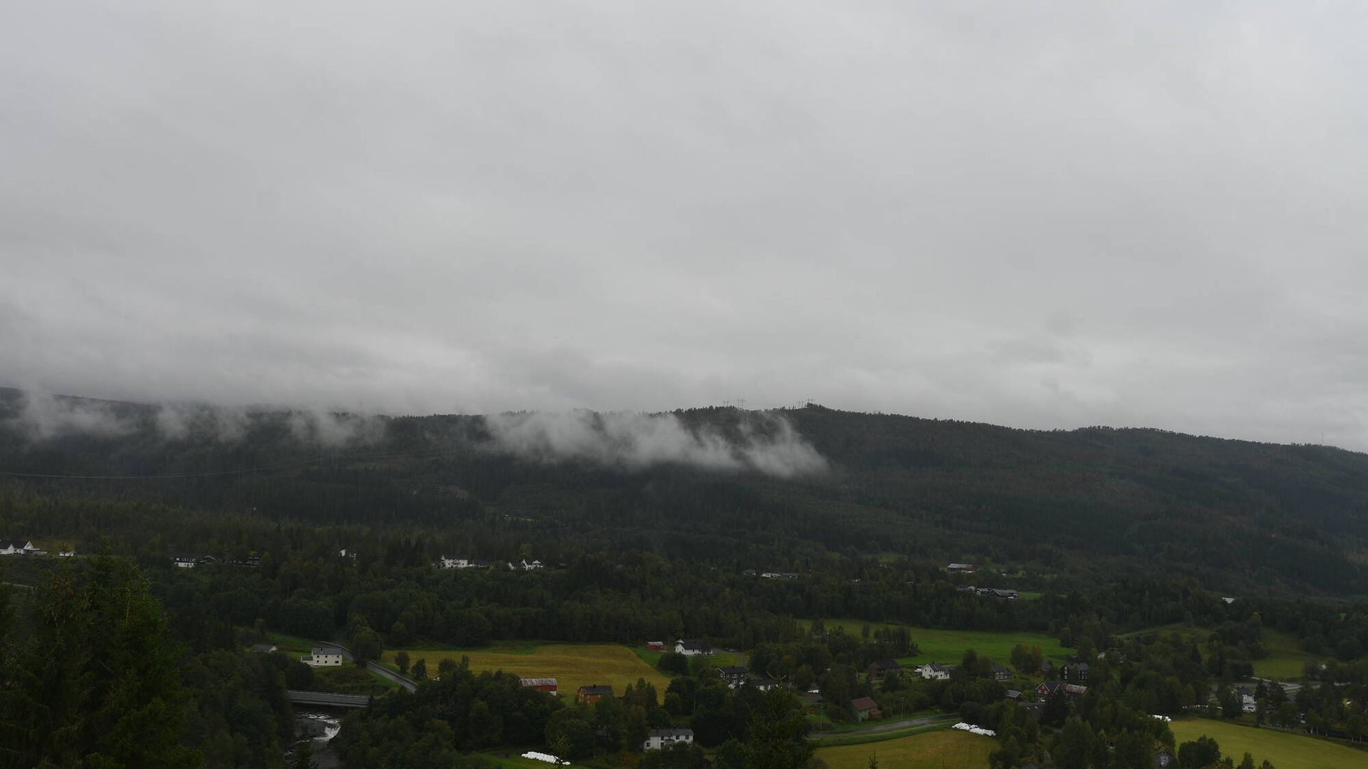 Rindal