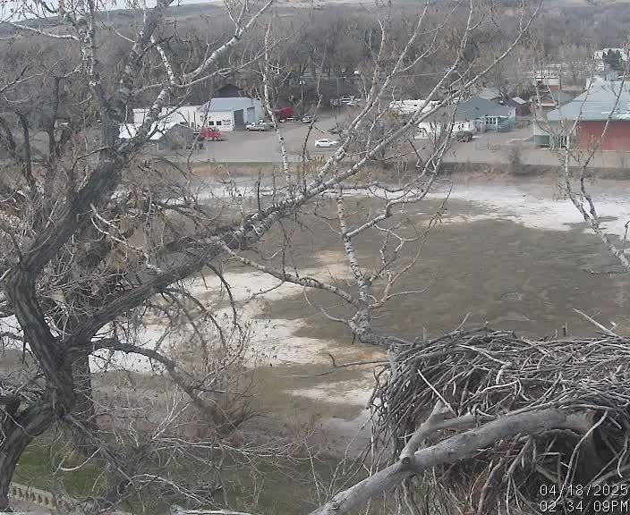 Miles City: Main Street