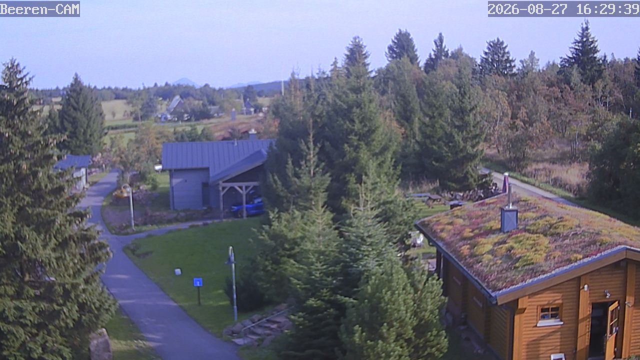 Altenberg: Zinnwald - Georgenfelds Webcam