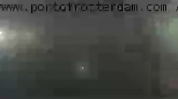 Rotterdam: Hoek van Holland - Olanda Meridionale - Breeddiep_webcam2