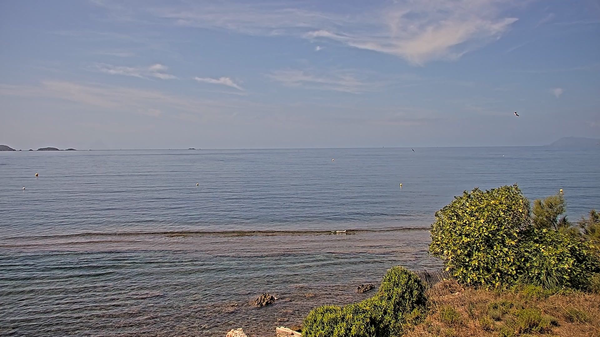 Hyeres: l'Almanarre