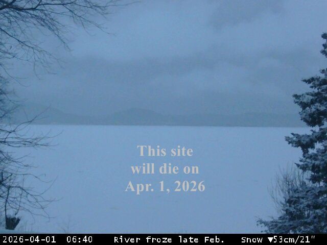 Dalhousie › North: Restigouche River