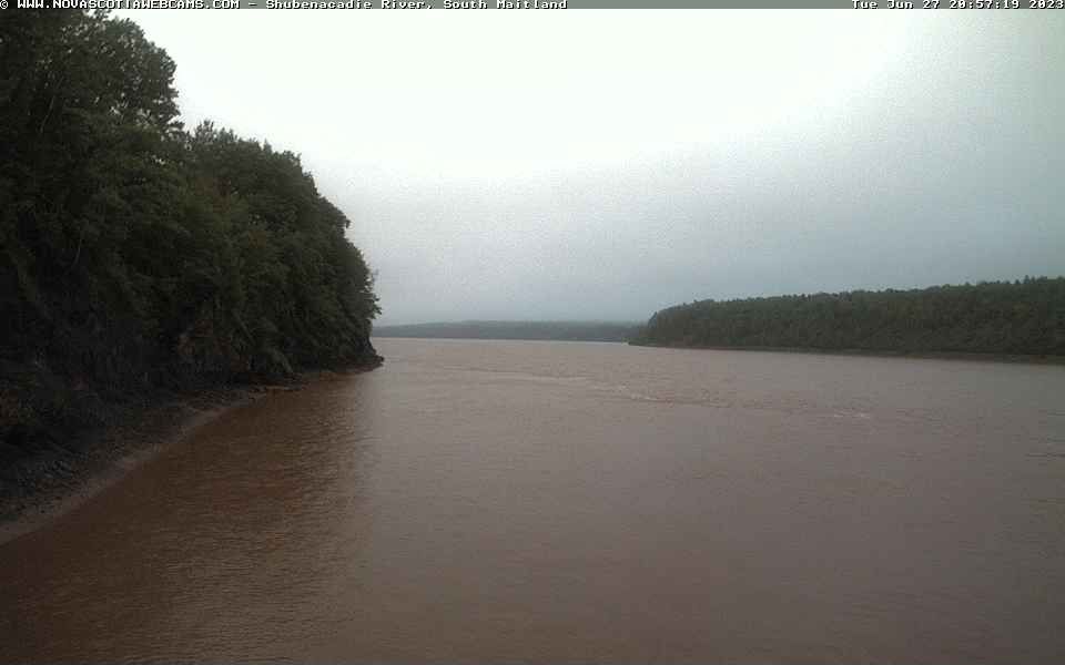 South Maitland › North-East
