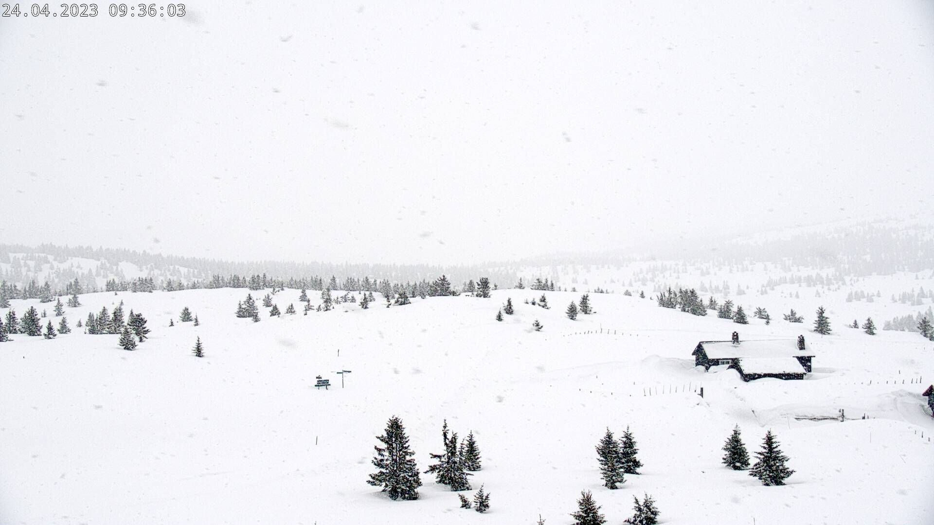 Lillehammer › East: Pellestova Hotel Hafjell