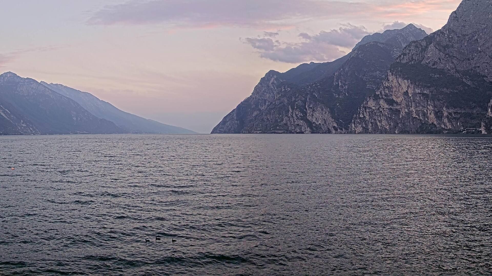 Riva del Garda: Porto
