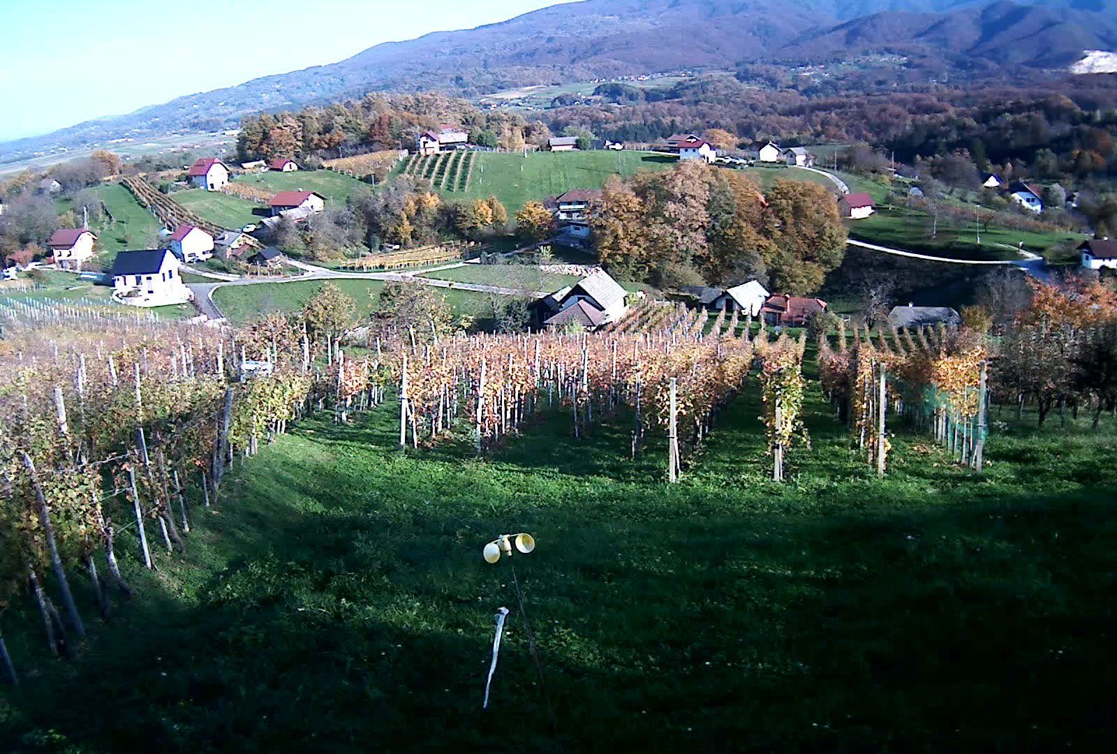 Novo Mesto › West: Novo mesto